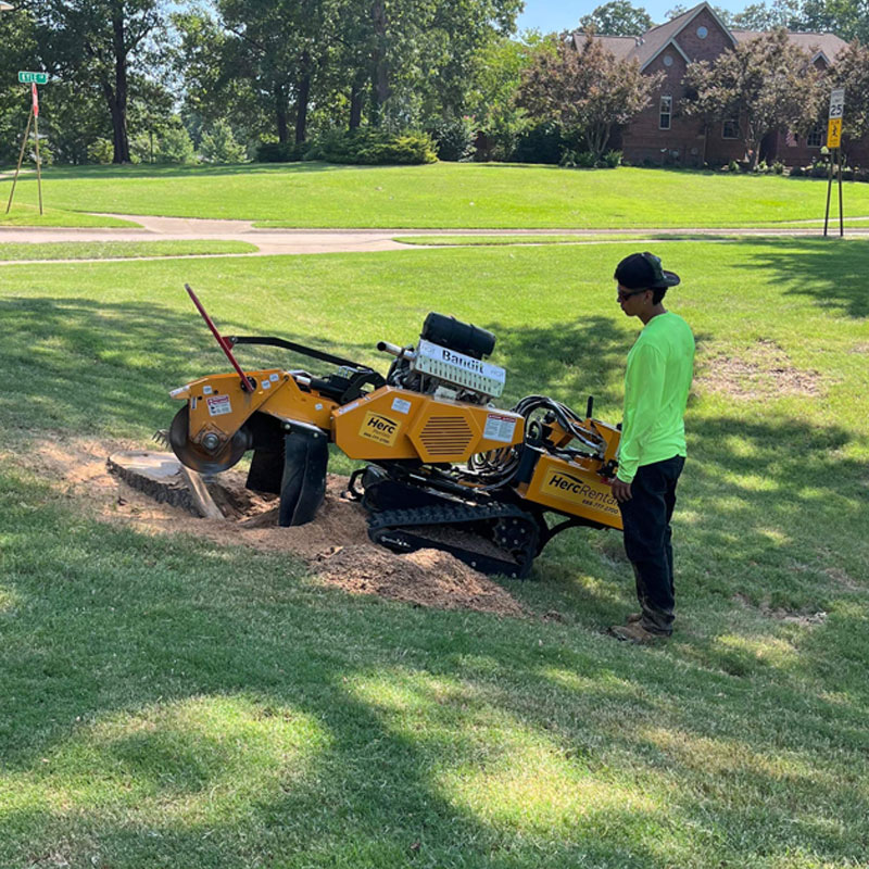 NWA stump removal services in Northwest Arkansas