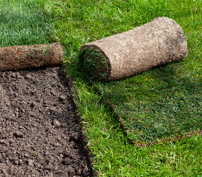 Sod installation services for Northwest Arkansas